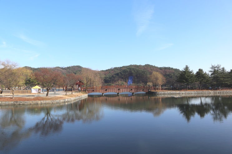  제천 의림지 산책하기 좋은 관광지 (바이킹은 헬...)