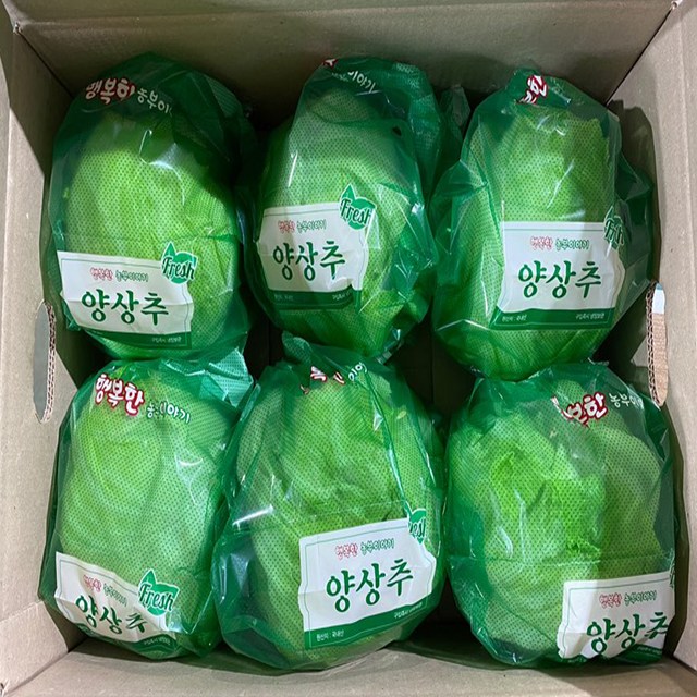 후기가 좋은 채소아가씨 싱싱한 국내산 양상추 3통 6통, 양상추 3통 1.5kg내외 추천해요 후기가 좋은 채소아가씨 싱싱한 국내산 양상추 3통 6통, 양상추 3통 1.5kg내외 추천해요