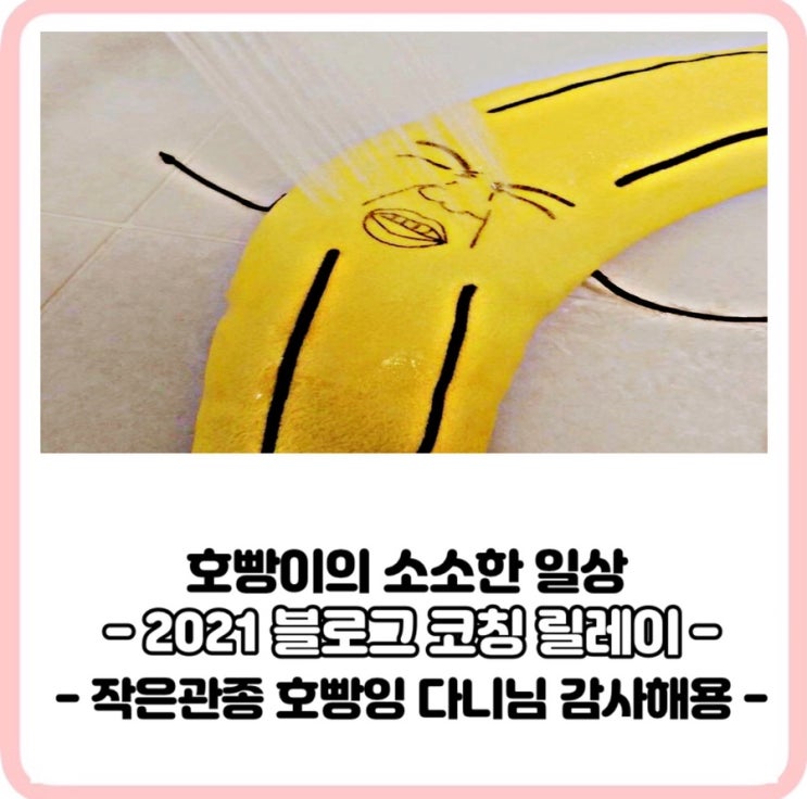 2021,블로그 코칭 릴레이 참여했또욤(feat,다니의 숲님)