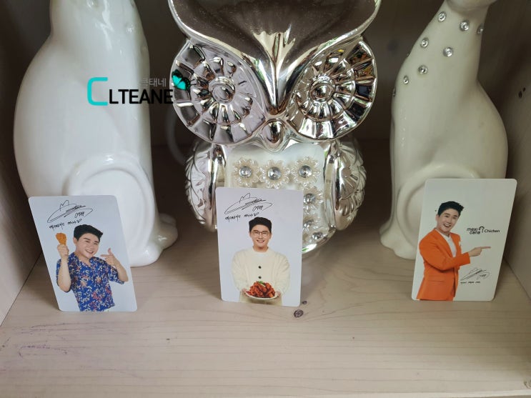  영탁 엄마의 찐사랑