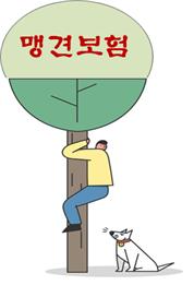 맹견보험, 가입들 하셨나요? 맹견보험, 가입들 하셨나요?