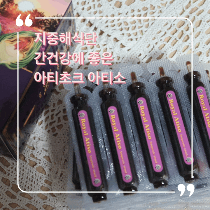  간건강 액상차 아티초크 아티소 (지중해식단, 숙취해소제)