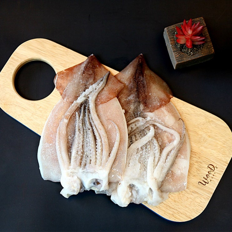 당신만 모르는 냉동 손질 통오징어 450g(2마리) 추천해요