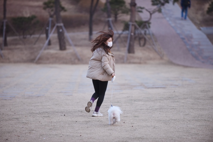 4계절이 궁금한 산책코스 :: 서울 남산공원백범광장