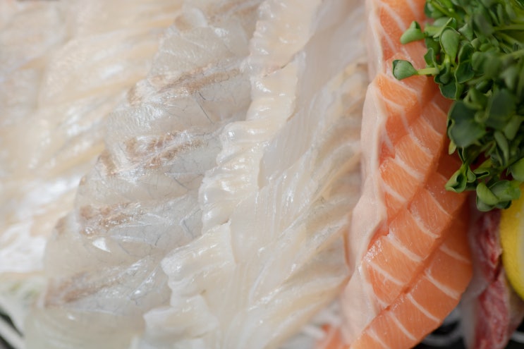  노량진회배달 독도수산 노량진수산시장맛집