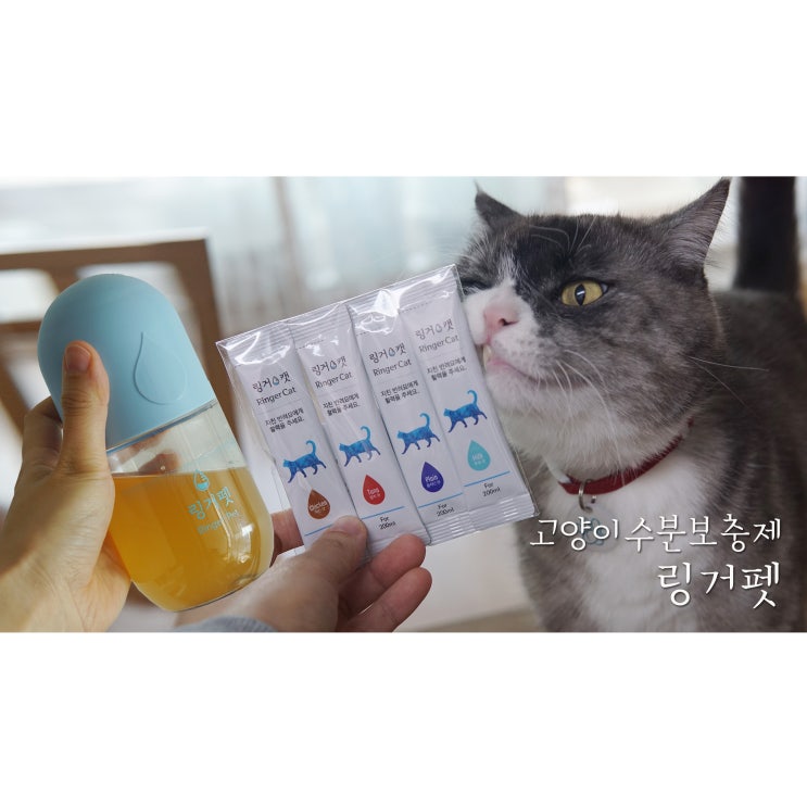  고양이음수량이 고민될 때 고양이수분보충제 링거펫으로!
