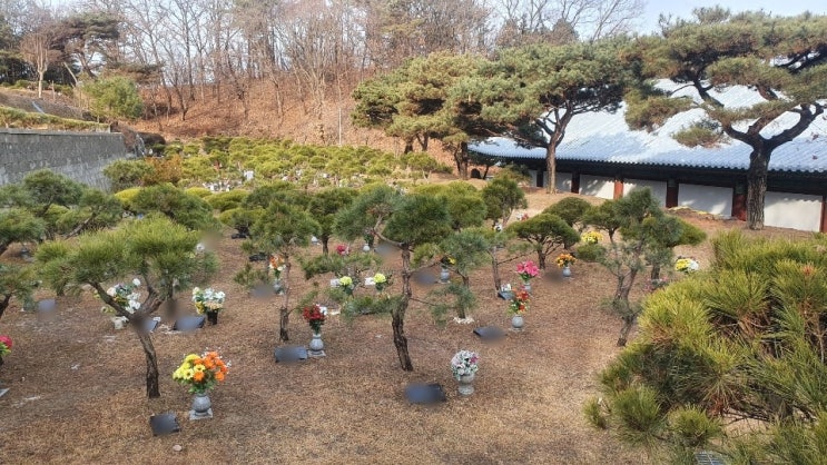 원병원장례식장 무료로 장지 컨설팅받으세요! 원병원장례식장 무료로 장지 컨설팅받으세요!