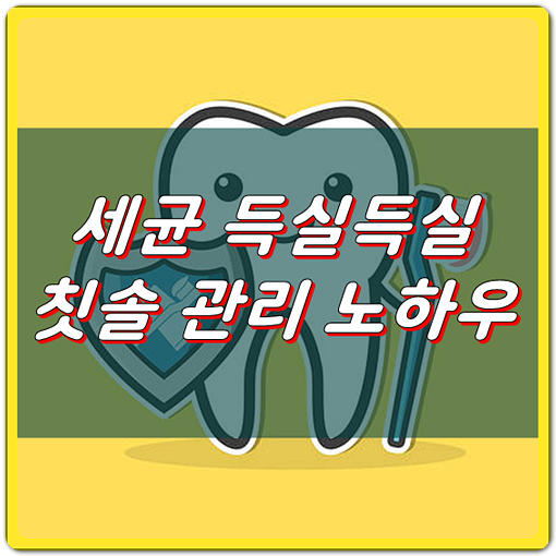  세균 득실, 칫솔 세균잡는 간단한 노하우