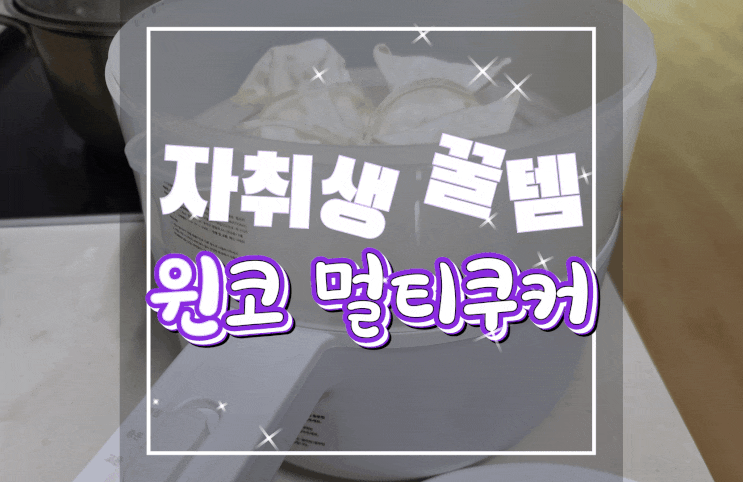  [내돈내산] 자취생 꿀템 윈코 멀티쿠커