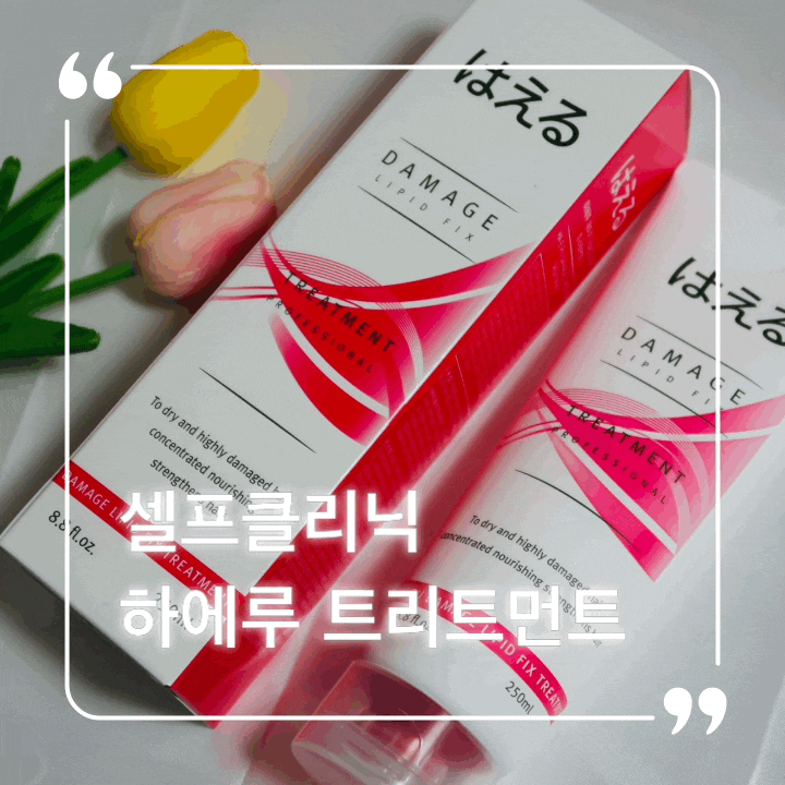  셀프 헤어클리닉 하에루 트리트먼트 미용실 안가도 집에서 셀프로