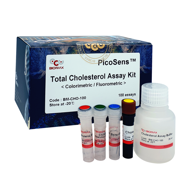 Total Cholesterol Assay Kit : 국내 제조제품 (바이오맥스만이 가능합니다)