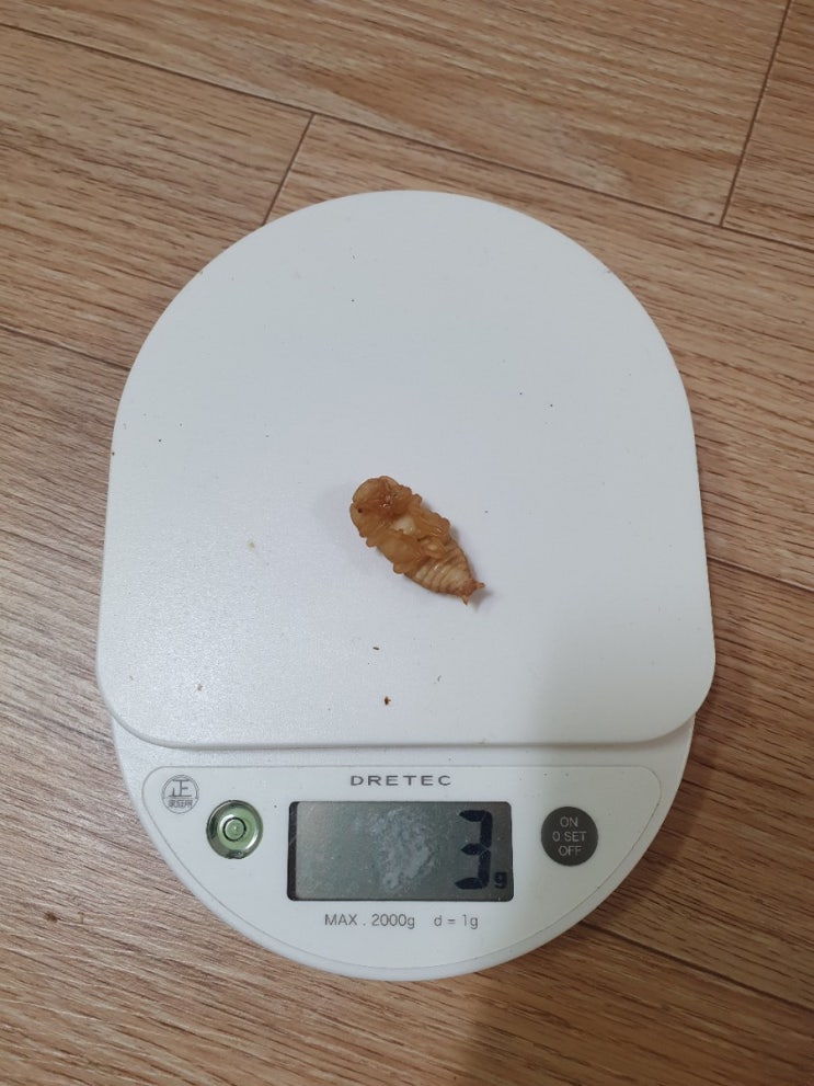  극태왕사 개인 기네스