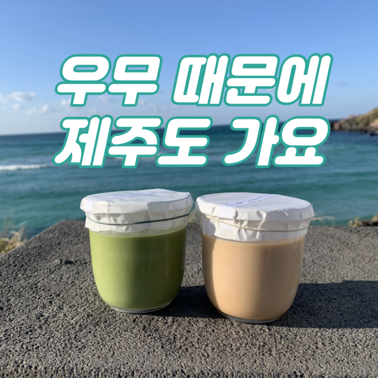  저는 우무때문에 제주도 갑니다 (2020년 우무 총 정리ver.)