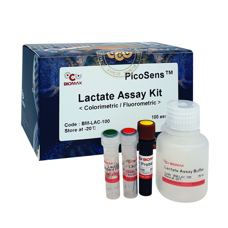 Lactate Assay Kit
