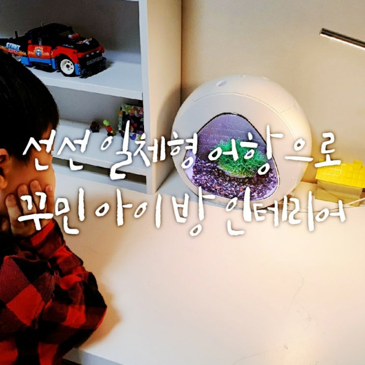 베타 선선 일체형 어항 - 사무실 책상, 아이 방 꾸미기로 딱이야~! 베타 선선 일체형 어항 - 사무실 책상, 아이 방 꾸미기로 딱이야~!