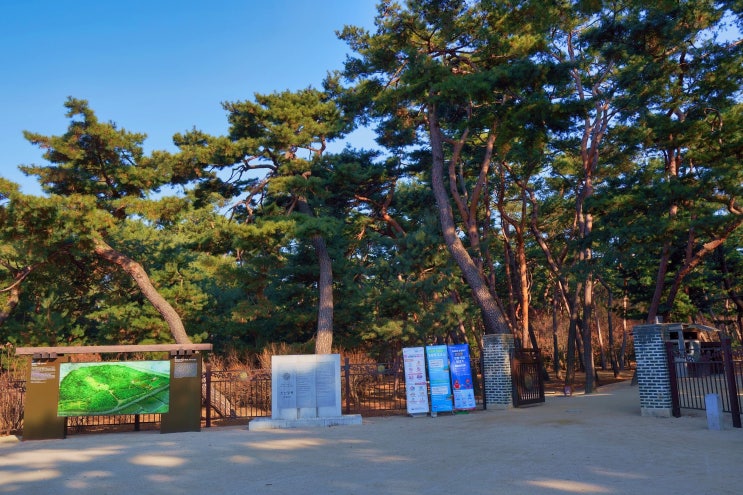  남양주 사릉에서 정순왕후의 그리움을 느끼다.
