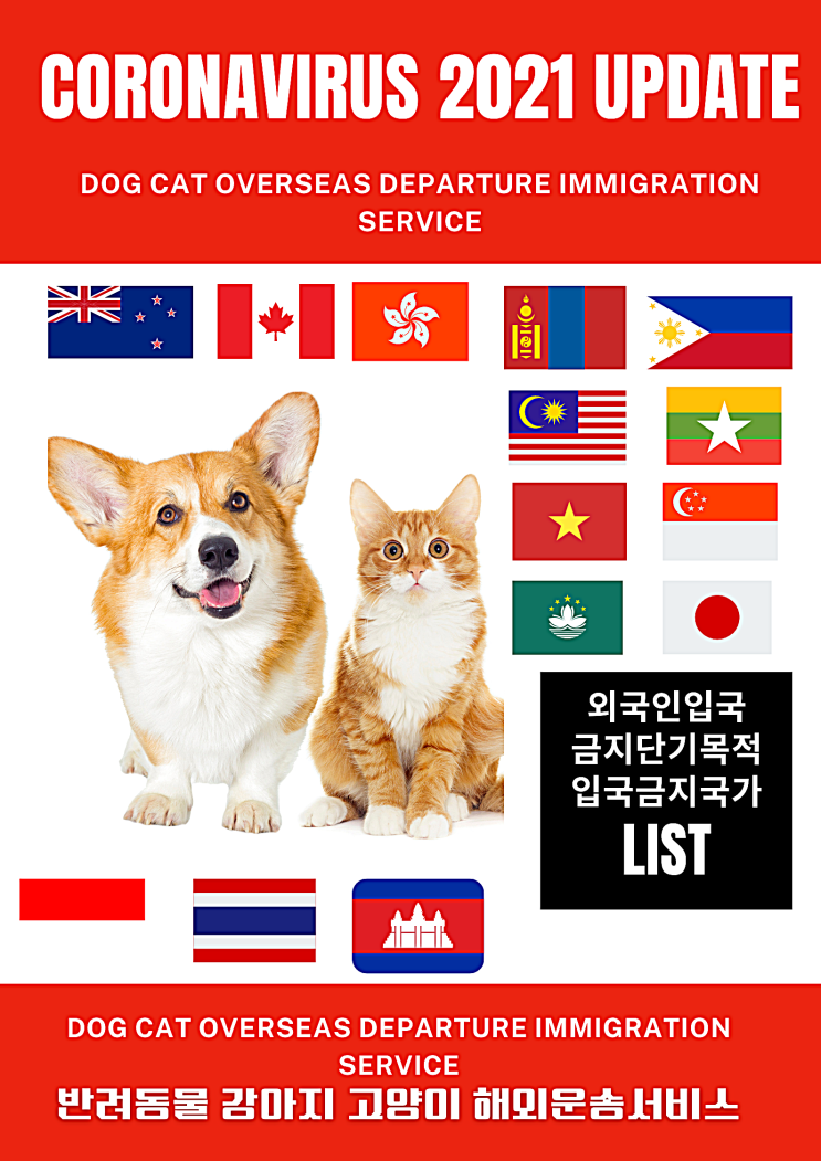  신년특집 몽골 몽고 고양이 강아지 출국 반려견입국 검역 해외 국제 운송 카고 항공화물