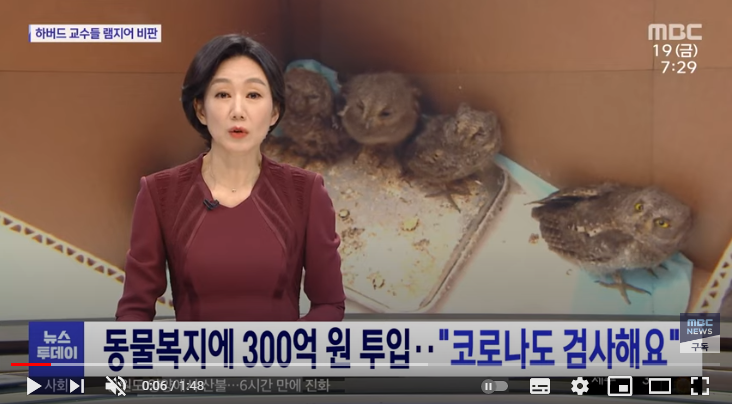동물복지에 300억 원 투입…"코로나도 검사해요" (뉴스투데이/MBC)