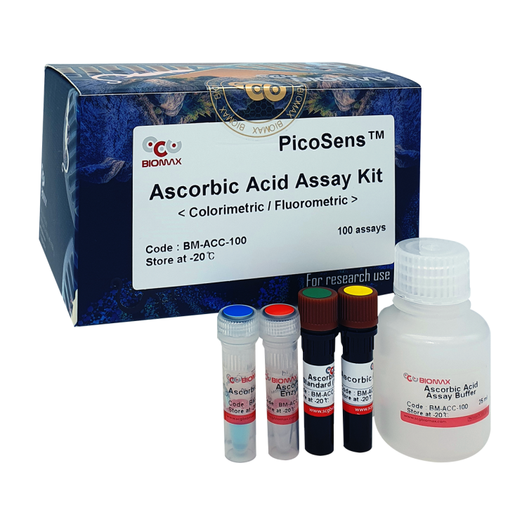  Acetylcholinesterase Activity Assay Kit
