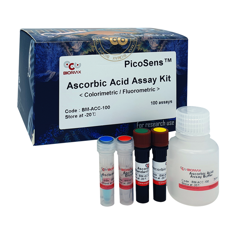 Acetylcholinesterase Activity Assay Kit