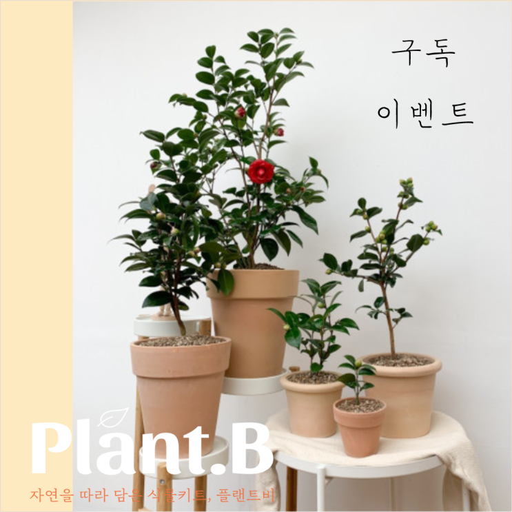  클릭 한번으로 식물을 받을 수 있는 대박 이벤트!