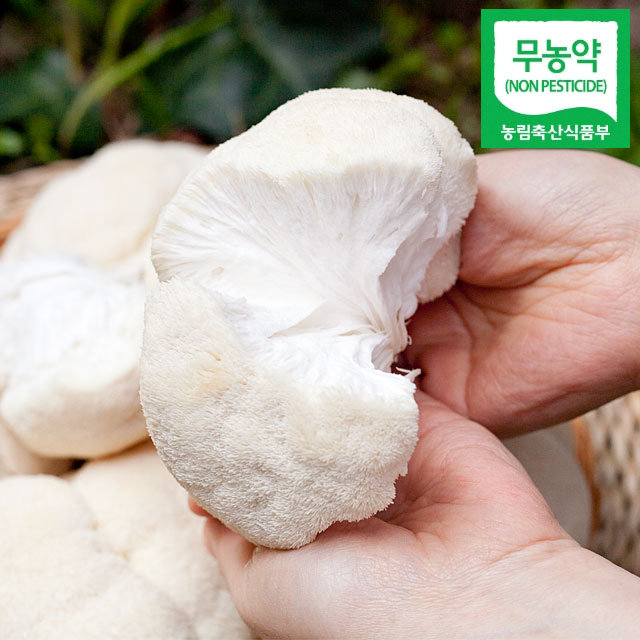 최근 많이 팔린 셋째딸농부 노루궁뎅이버섯 무농약 생버섯 5팩 건조, 1kg생버섯 ··· 최근 많이 팔린 셋째딸농부 노루궁뎅이버섯 무농약 생버섯 5팩 건조, 1kg생버섯 ···