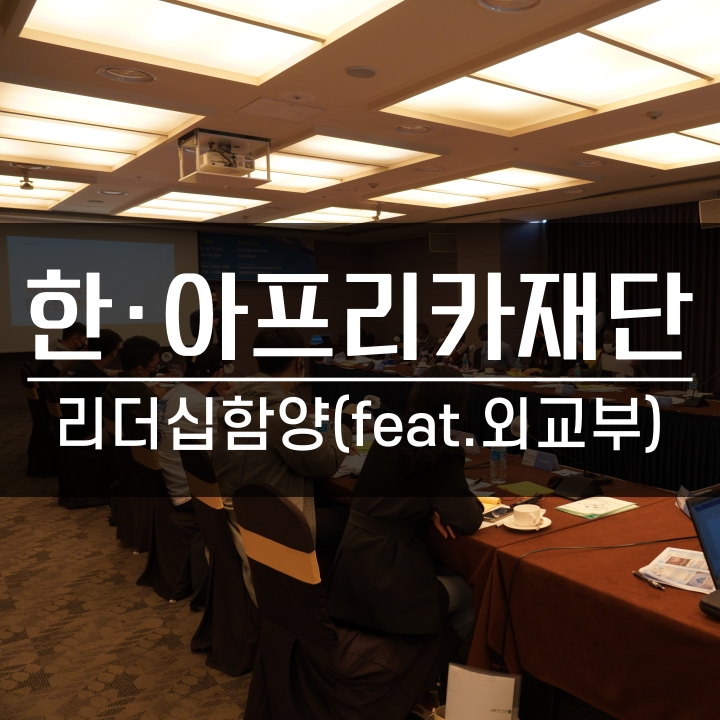  [리더십] 한국-아프리카재단 청년포럼, 최고의 팀을 만드는 방법, 리더십 함양 특강