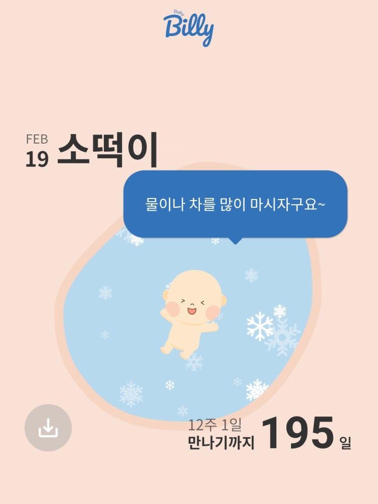  임산부어플 추천 : 베이이빌리, 임신+ 사용후기