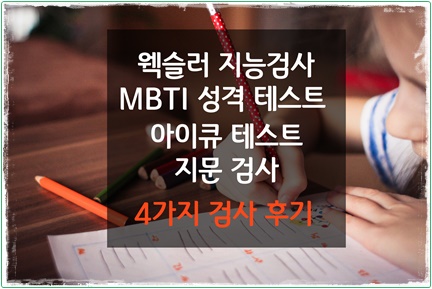  웩슬러 지능검사 / mbti 성격 테스트 / 아이큐 테스트 / 내 아이 재능 찾기