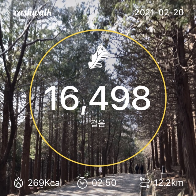  황령산 바람의 고개를 걸으며 75일째 만보걷기 성공!