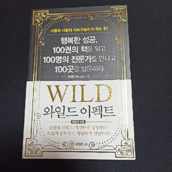 와일드 이펙트를 배우다 와일드 이펙트를 배우다