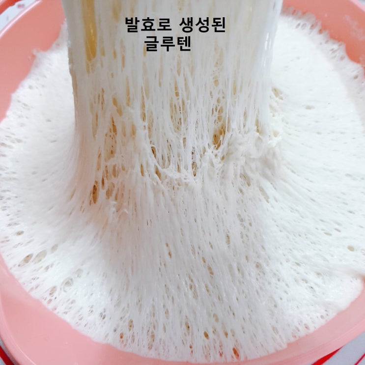  [홈베이킹] 글루텐의 생성과 역할