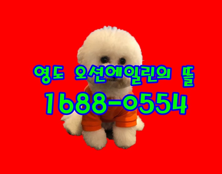  영도 오션에일린의뜰 홍보관