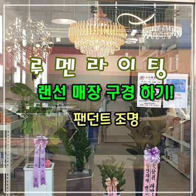 조명 매장 랜선 구경 하기! 조명 매장 랜선 구경 하기!