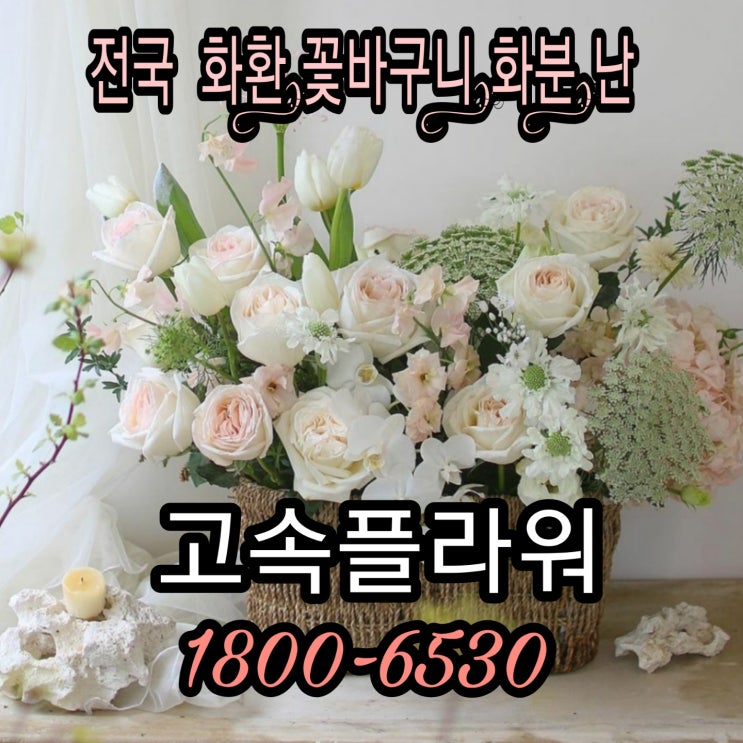  제주결혼식화환 가격비교 주문 제주웨딩홀 축하화환 축하문구 예약주문 전국꽃배달 화환54000원 고속플라워1800-6530