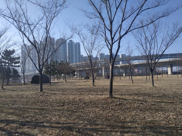  [2021.02.20 인천 송도 달빛축제공원] 인천 송도 달빛축제공원 다녀왔어요~!! / 송도 피크닉 가능 한 곳