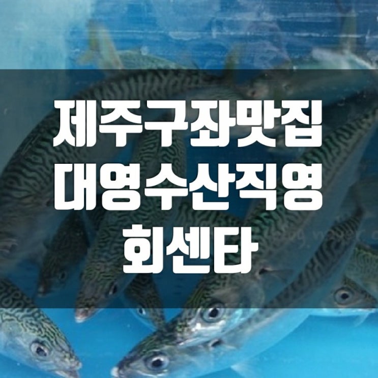 제주구좌맛집 대영수산직영회센타-제주도 맛집리스트