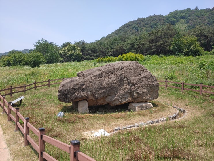 전라북도 고창여행 (고인돌 공원, 고인돌 박물관)