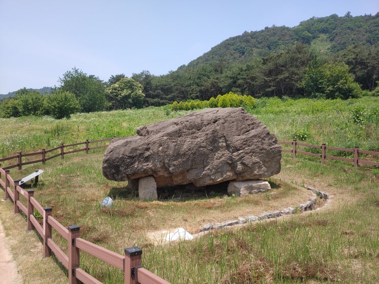 전라북도 고창여행 (고인돌 공원, 고인돌 박물관) 전라북도 고창여행 (고인돌 공원, 고인돌 박물관)