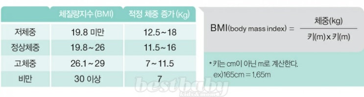 [임신 14주차] 임신 시기별/주차별 적정 체중 증가 곡선/임신 중 운동 주의사항/몸무게/다이어트