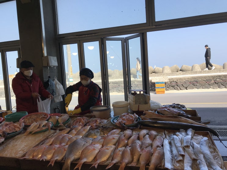  [제주동쪽여행] 우리나라에서 가장 아름다운 시장 - 제주세화민속오일시장