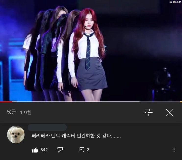  인간 페리페라 (여자)아이들 수진