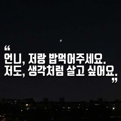  세모글 박세인 강사의 덕업일치 삶 따라하기