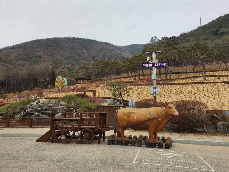 인천 계양산 장미원 산림욕장/광명 오리고기 전문 맛집 가나안덕 즐긴하루