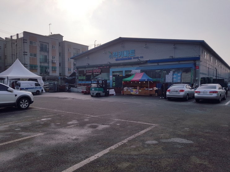  당신이 식자재마트에 꼭 가야하는 이유!(인천 검암 럭키마트 리뷰)
