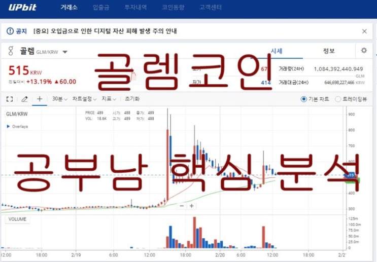  골렘코인 중요한 공부남이 생각해본 예측