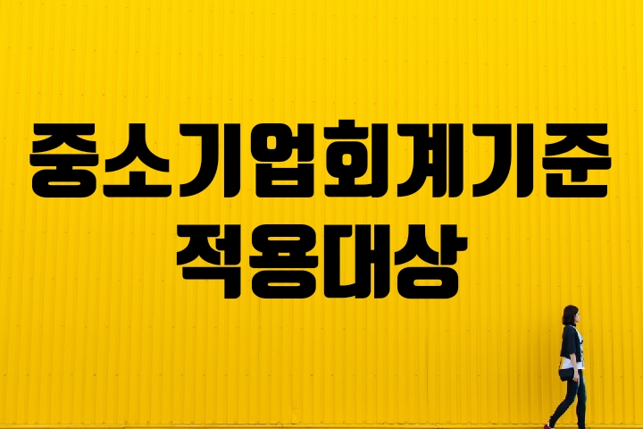  중소기업회계기준의 적용 대상
