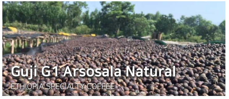  [Specialty]Guji  Arsosala G1