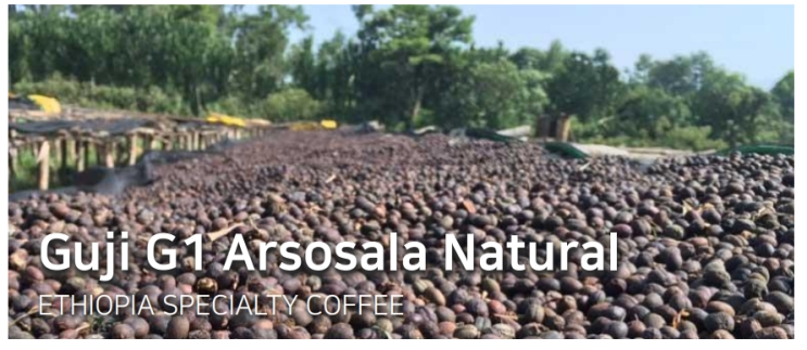 [Specialty]Guji  Arsosala G1