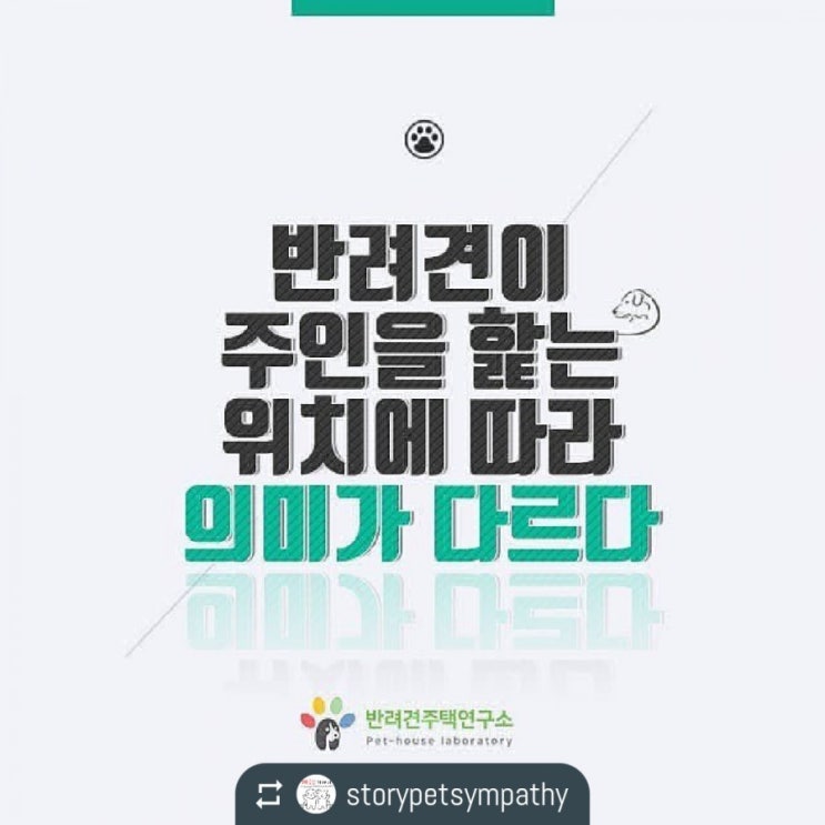  반려견이 주인을 핥는 위치에 따라 의미가 다르다